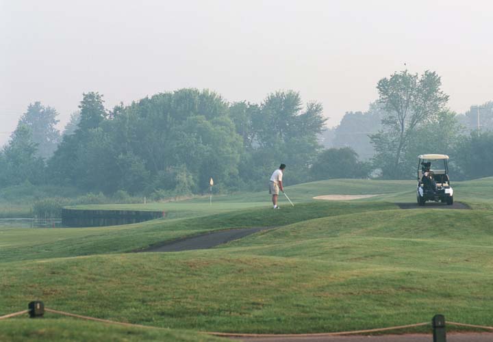 $25 – Round of Golf at Turtle Creek Golf Course